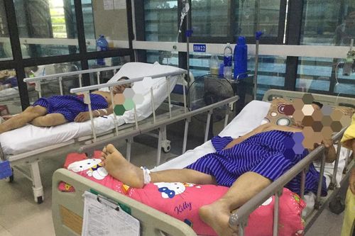 3 người bị hôn mê sâu vì ăn hoa rừng