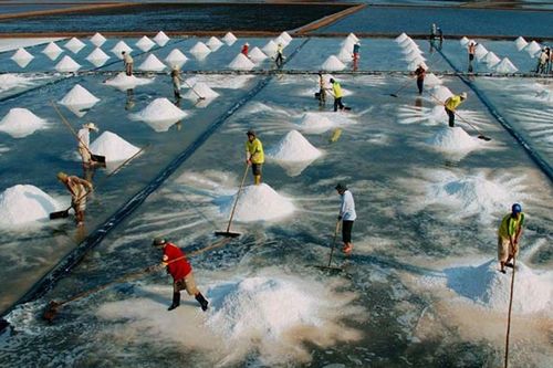 Việt Nam có thêm 23 Di sản văn hóa phi vật thể quốc gia