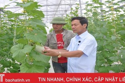 Hợp tác xã ở Hà Tĩnh thuê chuyên gia Israel dạy cách trồng dưa lưới
