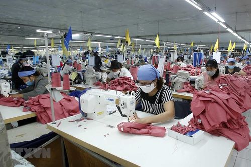 Hiệp định EVFTA: Cấp 15.000 bộ C/O sang EU với kim ngạch 700 triệu USD