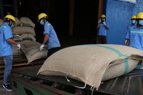Việt Nam-Algeria tăng cường giao thương trực tuyến trong thời dịch