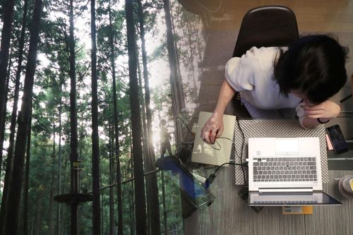 Nhật Bản hỗ trợ tiền để khuyến khích người dân về quê làm việc