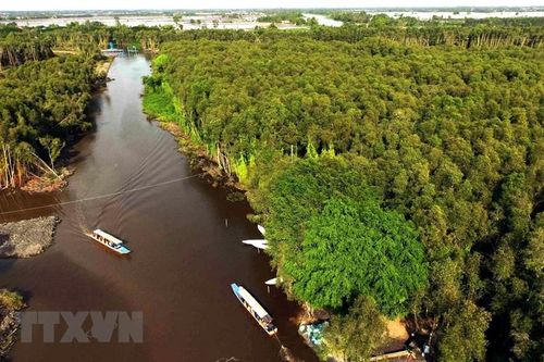 Sức bật mới của du lịch Long An - Bài 2: Điểm nhấn từ du lịch sinh thái điển hình vùng Đồng Tháp Mười