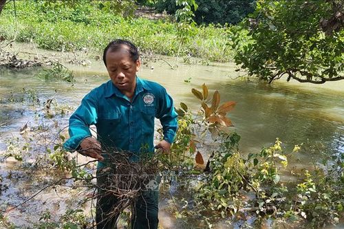 Bãi đãi cát hoạt động 'chui' gần khu dân cư, một dòng suối có nguy cơ bị xóa sổ
