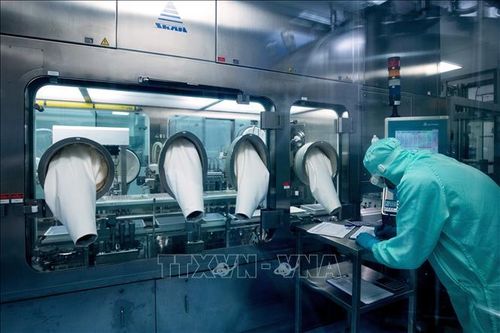 EU nỗ lực đảm bảo nguồn cung vaccine tiềm năng ngừa COVID-19
