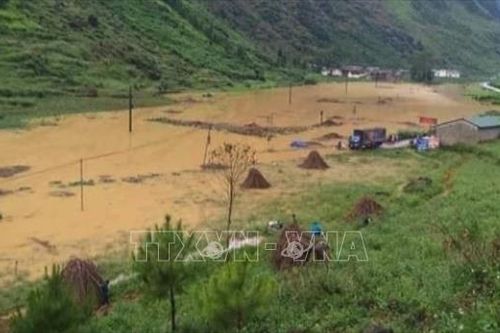 Mưa lũ gây nhiều thiệt hại tại các địa phương