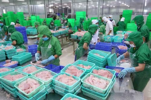 Xuất khẩu nông, lâm, thủy sản 9 tháng tăng 1,6%