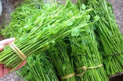 Loại rau tên nghe đã 'bốc mùi' nhưng là đặc sản Lạng Sơn, ai ăn được thì lại nghiện