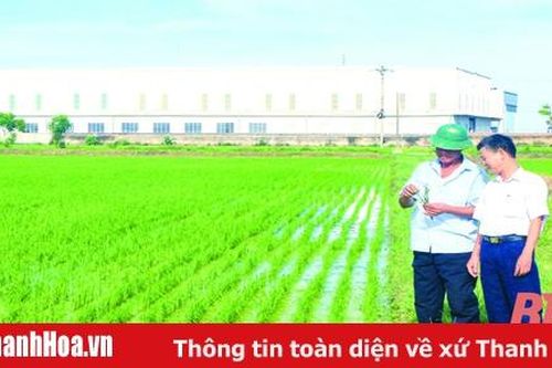Khát vọng nông nghiệp quy mô lớn, công nghệ cao : 'Rào cản' và tiếng nói người trong cuộc