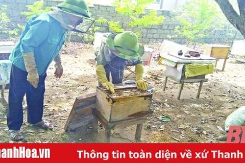 Xây dựng các mô hình sinh kế cho người dân ở các xã bãi ngang