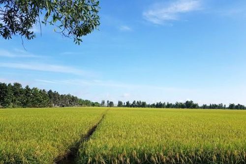 Sản xuất an toàn trong thời tiết phức tạp