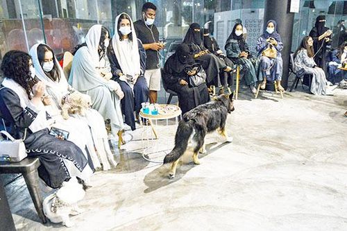 Quán cà phê đầu tiên dành cho chó tại Saudi Arabia