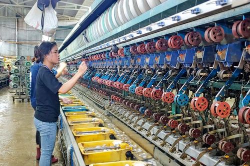 Vườn dâu xanh thắm, trắng phau nong tằm