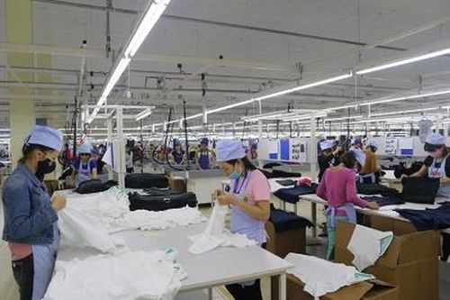 9 tháng, tổng mức bán lẻ hàng hóa và doanh thu dịch vụ tiêu dùng tăng 2,9% so với cùng kỳ