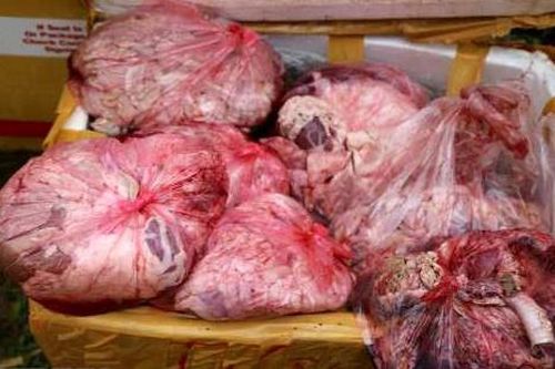 Sơ chế mỡ heo hôi thối bán cho nhà hàng ở TP.HCM
