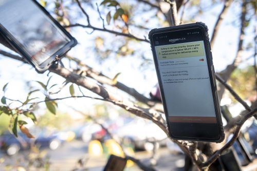 Treo điện thoại lên cây để lừa Amazon