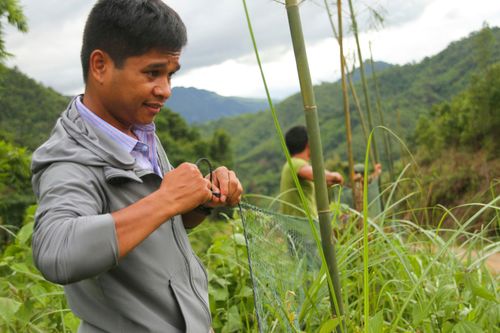 Căng lưới vây núi ngăn đàn voọc tấn công người