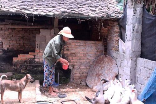 Nghệ An và những tỉnh nào có nghi vấn 'ăn tiền' hỗ trợ COVID-19?