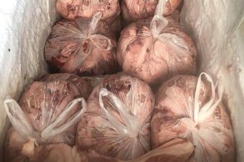 Thu gom mỡ, da lợn thối bán cho nhà hàng, quán ăn