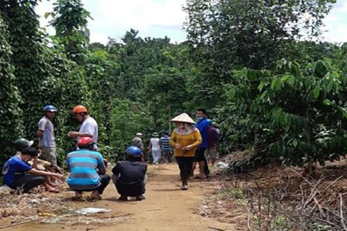 Điều tra vụ 3 bố con tử vong bất thường trong chòi rẫy