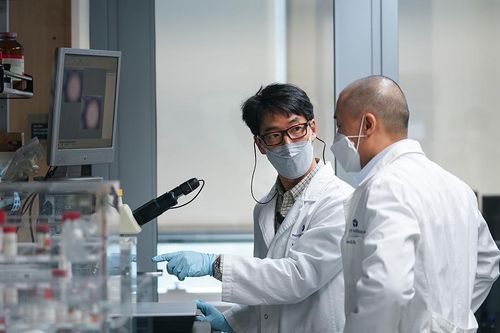 Các hãng dược phẩm Hàn Quốc tăng tốc trong cuộc đua với COVID-19