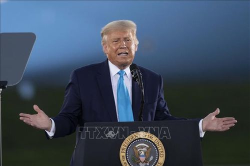 Tổng thống Trump sẽ vận động tranh cử trực tuyến