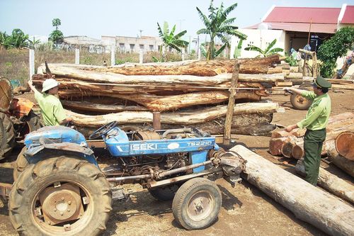 Gia Lai tăng cường công tác quản lý, bảo vệ rừng