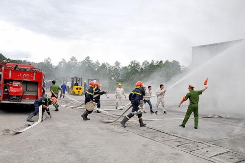 Vững vàng trên tuyến đầu