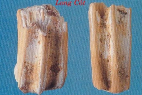 Bài thuốc hỗ trợ trị tăng huyết áp
