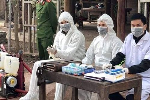 Nguy cơ dịch bệnh tại các địa bàn biên giới