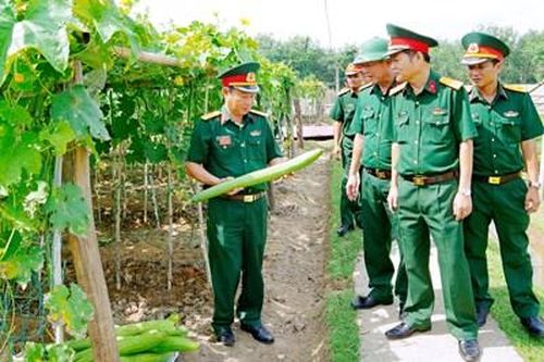 Bảo đảm đủ rau xanh trong bữa ăn của bộ đội