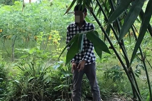 Tạm giữ đối tượng hàng chục lần hiếp dâm bé gái hàng xóm