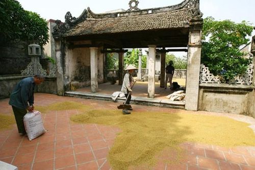 Nỗi niềm của làng nghề nón Chuông