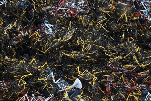 Dân Trung Quốc sợ hãi tới mất ngủ vì xe đạp 'kêu cứu thảm thiết'