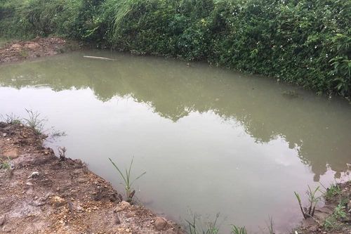 Nghệ An: Theo bà và mẹ đi gặt lúa, hai cháu bé đuối nước dưới ao sâu