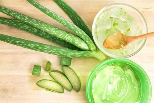9 tác dụng phụ của lô hội (nha đam) nhiều người chưa biết