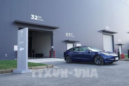 Hoạt động kinh doanh của Tesla khởi sắc nhờ nhu cầu ô tô điện tăng