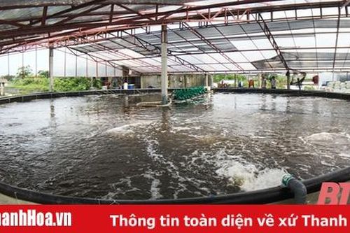 Xã Nga Tân phát triển nuôi trồng thủy sản công nghệ cao