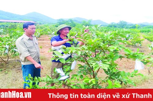 Huyện Cẩm Thủy đưa nghị quyết vào cuộc sống