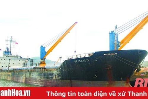 Đã có 24 chuyến tàu Container quốc tế cập Cảng Nghi Sơn trong năm 2020