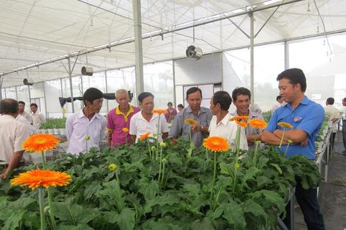 Nông dân làng hoa Sa Đéc chuẩn bị hoa, kiểng phục vụ thị trường Tết Nguyên đán 2021