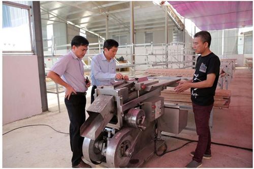 Táo mèo và chùm ngây 'lên đường' xuất khẩu nhờ công nghệ sấy hồng ngoại