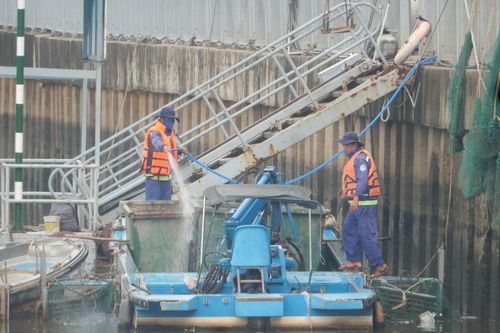 Xem công nhân nạo vét bùn đen đoạn cuối kênh Nhiêu Lộc - Thị Nghè