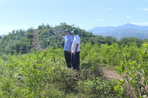 Quảng Trị: Cty Lâm nghiệp Đường 9 buông lỏng quản lý để người lạ xâm lấn hơn 800 ha đất rừng