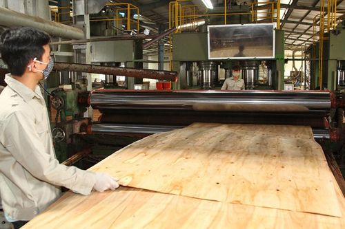 Gian lận thương mại - vấn đề sống còn với ngành gỗ