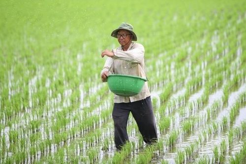 Đưa phân bón vào diện chịu thuế VAT: Ích nước, lợi dân!