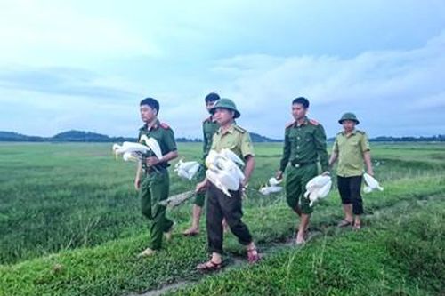 Ngăn chặn nạn tận diệt chim, cò hoang dã ở huyện Hương Sơn