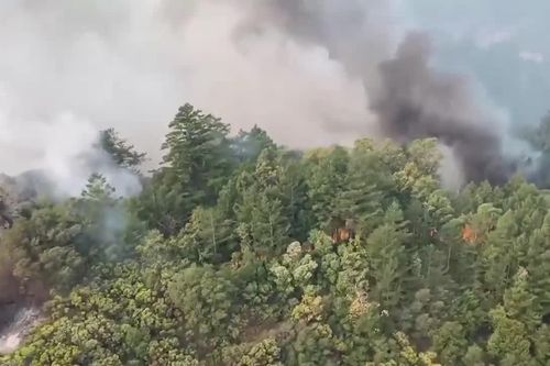 Mỹ: Cháy rừng thiêu rụi diện tích kỷ lục tại bang California