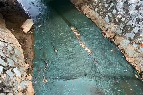 Xử phạt 5 doanh nghiệp, cơ sở sản xuất khiến nước suối đổi màu