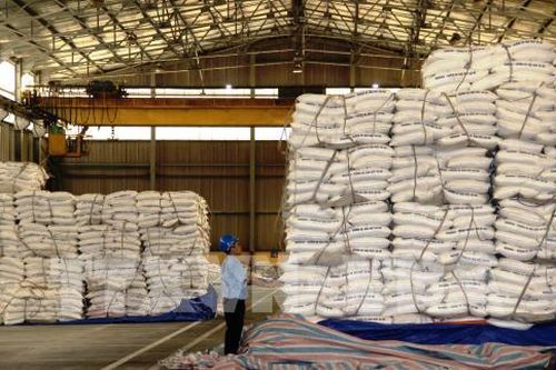 Doanh nghiệp mía đường tìm kiếm cơ hội trong khó khăn